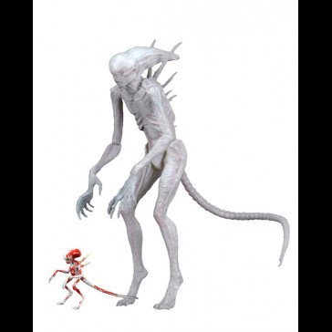 NECA - Alien Covenant New Creature AF NECA - Alien Covenant New Creature AF