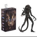 NECA - Aliens Warrior Xenomorph Alien Brown Ultimate + uovo