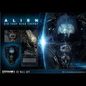 PRIME 1 - Alien 3D Wall Art Big Chap Head Trophy 58 cm