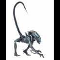 NECA - ALIEN VS PREDATOR ARCADE ARACHNOID ALIEN