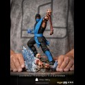 IRON STUDIOS - Mortal Kombat Sub Zero 1/10 Statua