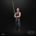 HASBRO - Star Wars  Black Series Lucasfilm 50th Ann. Action Figure 2021 Luke Skywalker & Ysalamiri 15 cm