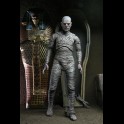 NECA - Universal Monsters Mummy Color Ultimate A.Figure
