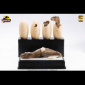 ELITE - Jurassic Park Statues Hatching T-Rex