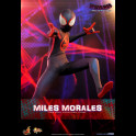 HOT TOYS - Marvel: Spider-Man Across the Spider-Verse - Miles Morales 1:6 Scale Figure