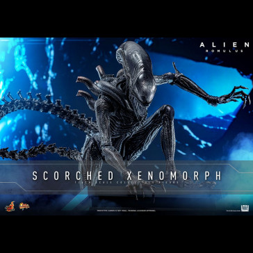 HOT TOYS - Alien: Romulus Movie Masterpiece Action Figure 1/6 Scorched Xenomorph 44 cm