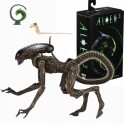 NECA - Alien 3 Dog Alien Ultimate A.Figure