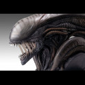 HOLLYWOOD COLLECTIBLES - Alien Romulus Bust 1/1 Xenomorph 53 cm