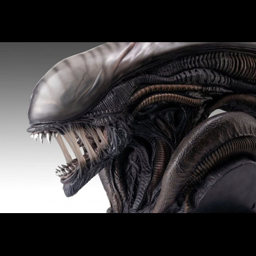 HOLLYWOOD COLLECTIBLES - Alien Romulus Bust 1/1 Xenomorph 53 cm