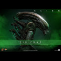 HOT TOYS - Alien Movie Masterpiece Action Figure 1/6 Big Chap 36 cm