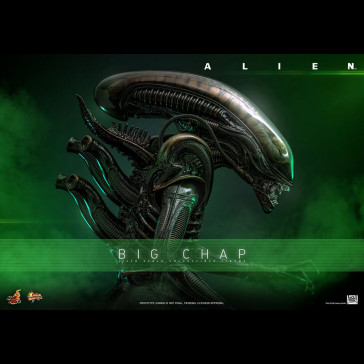 HOT TOYS - Alien Movie Masterpiece Action Figure 1/6 Big Chap 36 cm