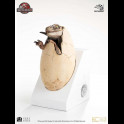 ELITE - Jurassic Park 3 White Queen Egg Hatching