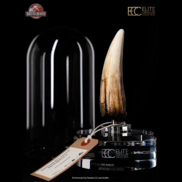 ELITE CREATURE - Jurassic Park III Prop Replica 1/1 Spinosaurus Tooth 14 cm
