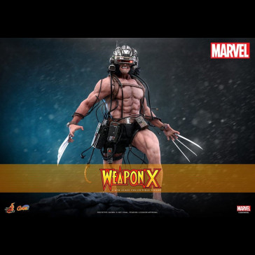 HOT TOYS - Marvel Comic Masterpiece Action Figure 1/6 Weapon X 31 cm