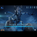 HOT TOYS DELUXE - Alien Movie Masterpiece Action Figure 1/6 Alien Warrior (Deluxe Version) 39 cm
