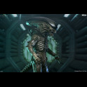 NECA - Alien: Earth Ultimate Action Figure Xenomorph 18 cm