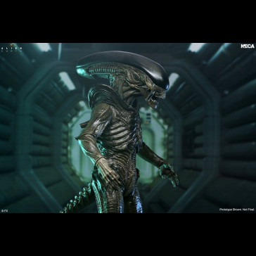 NECA - Alien: Earth Ultimate Action Figure Xenomorph 18 cm
