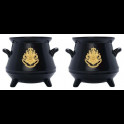 JOY TOY - Harry Potter 3D Sale e Pepe Shaker Cauldron