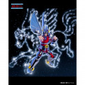 BANDAI - Saint Cloth Series Pegasus Cloth 1st Bronze Cloth Box Limited Edition